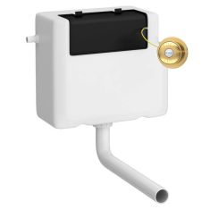 Hudson Reed Universal Access Cistern & Brushed Brass Traditional Flush Plate